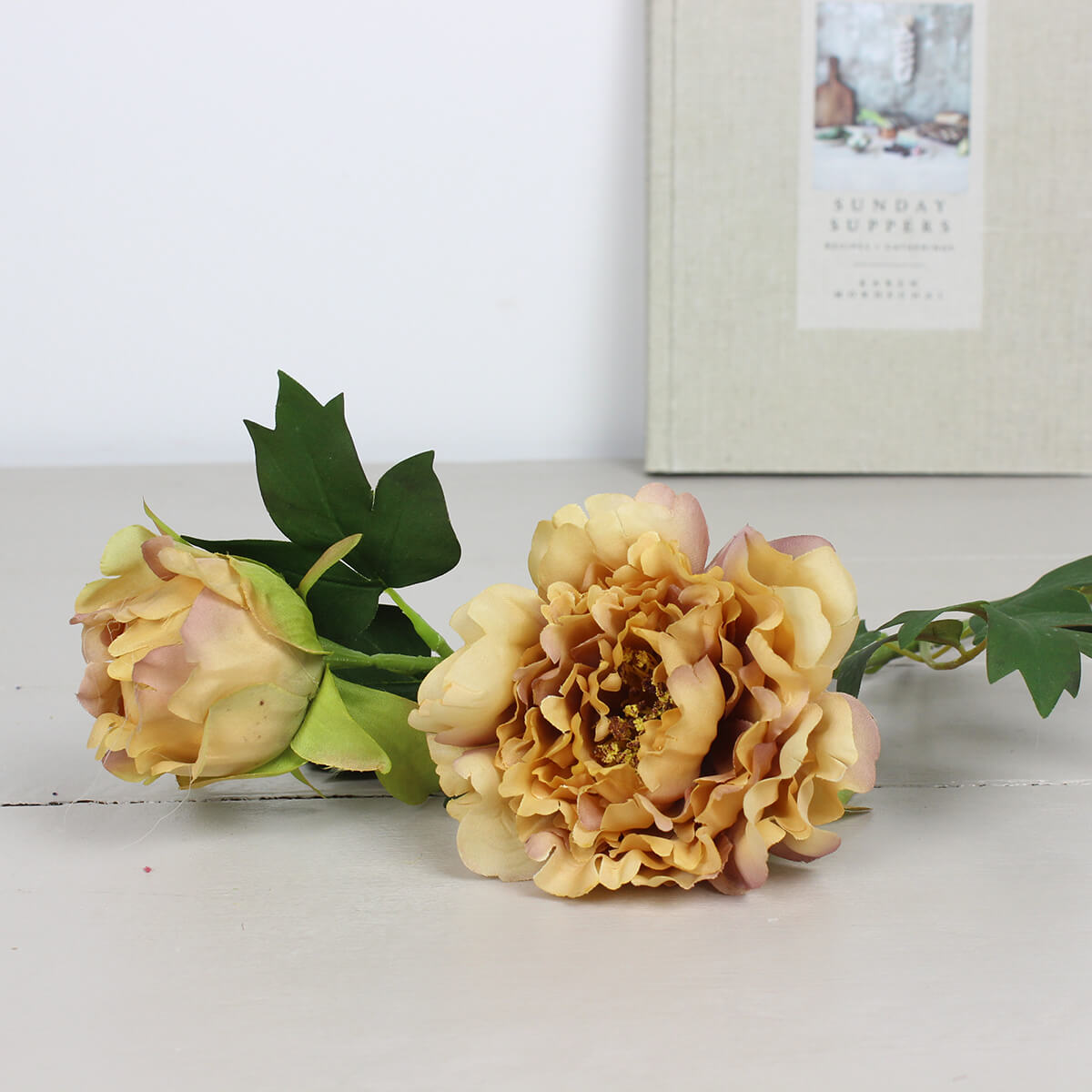Yellow Peony Stem