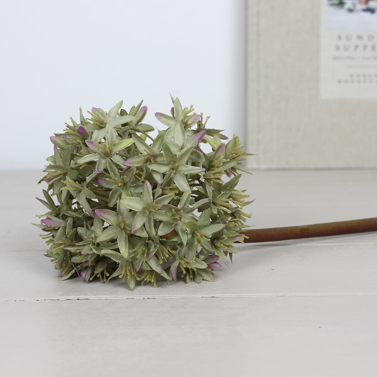 Antiqued Dried Allium Stem