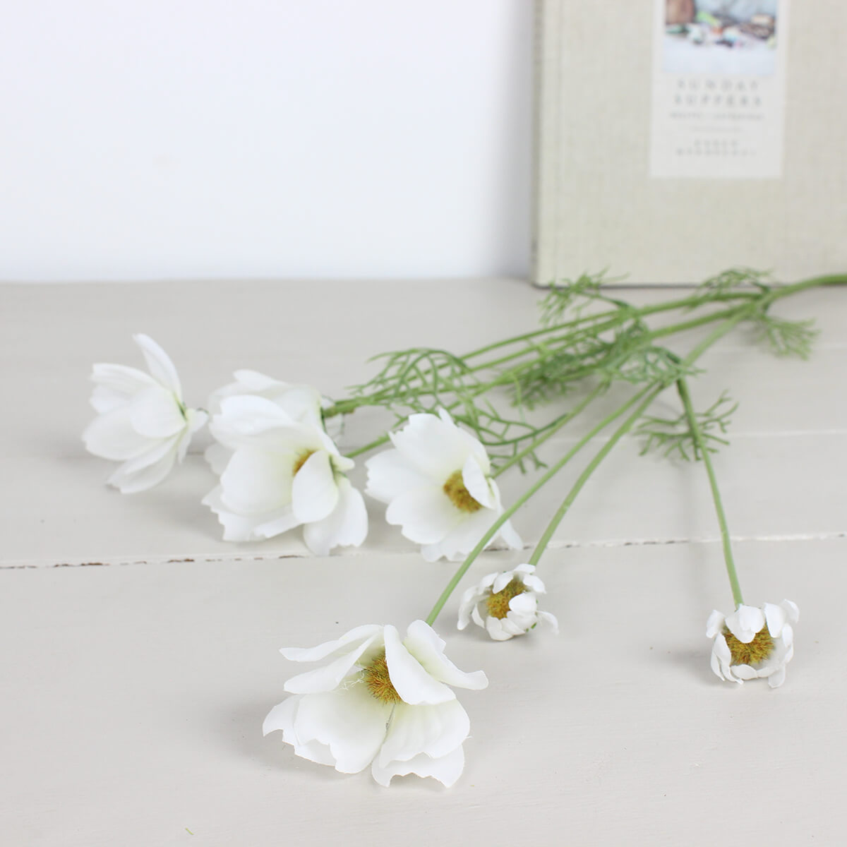 White Cosmos Spray