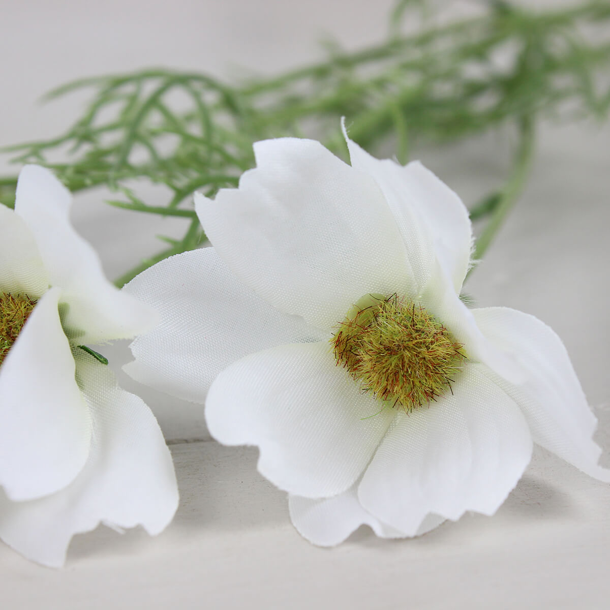 White Cosmos Spray