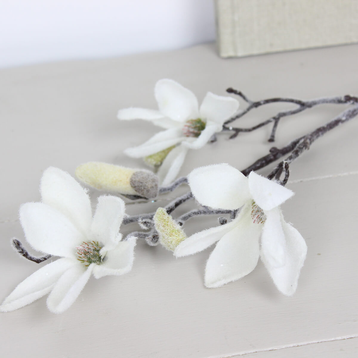 Frosty Magnolia