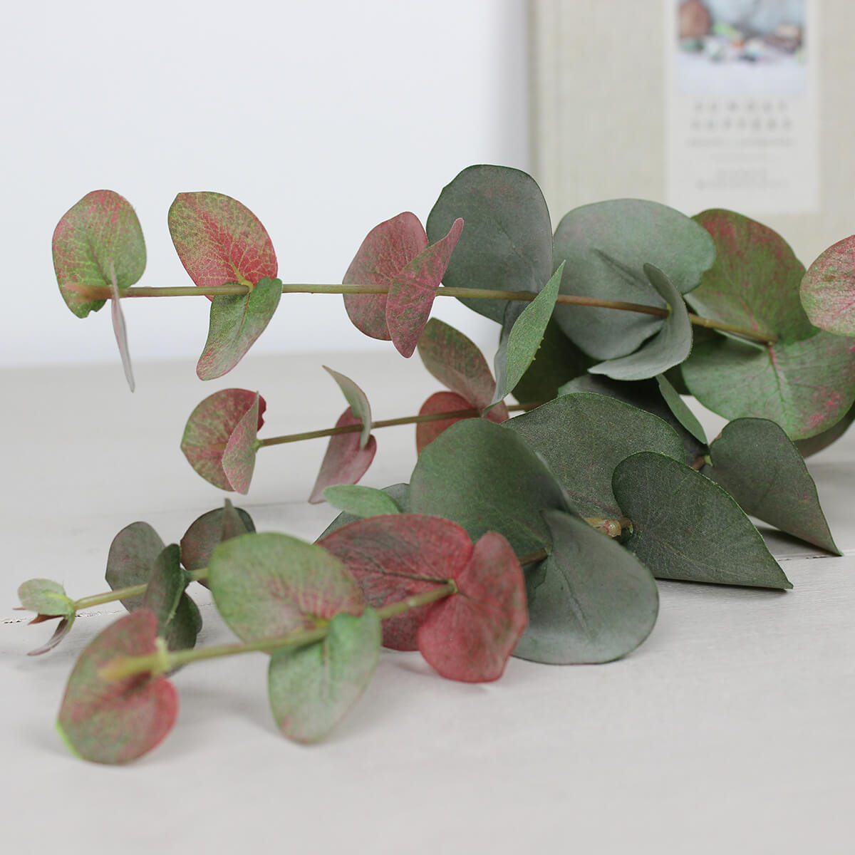 Blush Finish Eucalyptus Spray