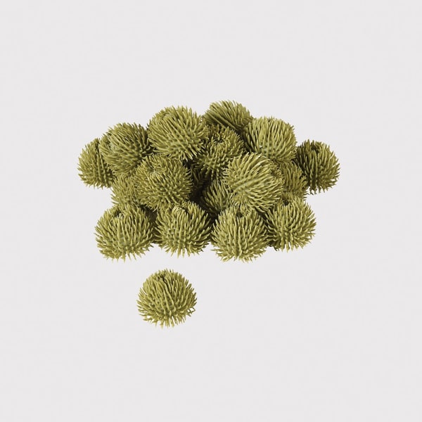 Bag of 24 Green Echinops Balls