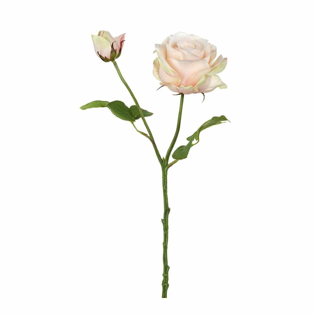 Light Peach Aria Rose Bud Stem