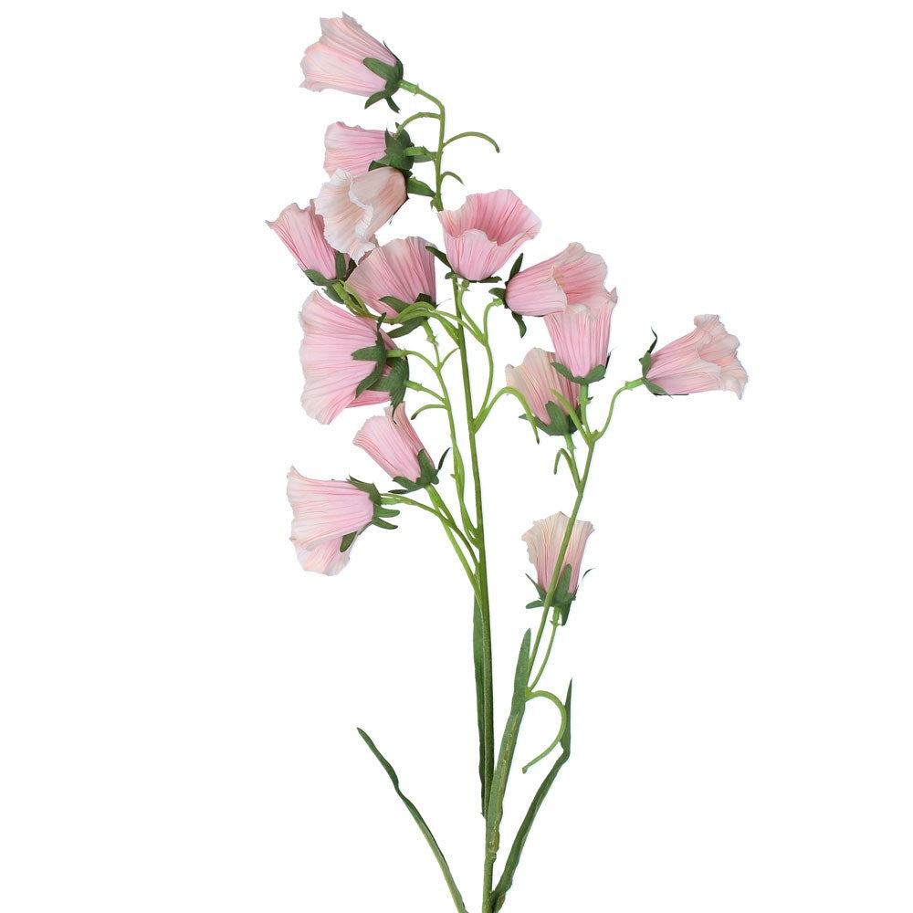 Morning Glory Light Pink Spray