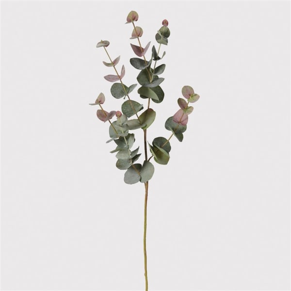 Blush Finish Eucalyptus Spray