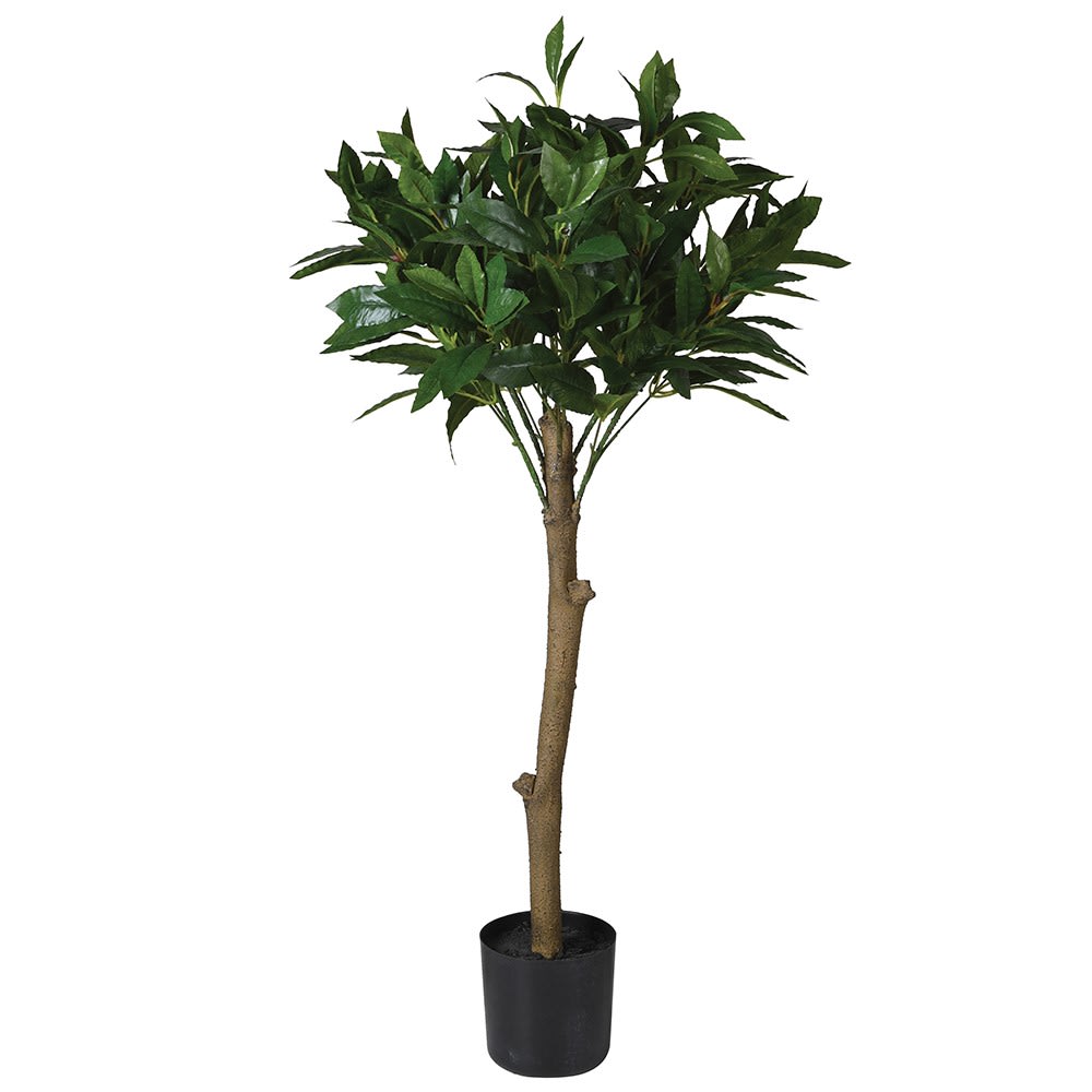 Faux Bay Leaf Tree in Pot