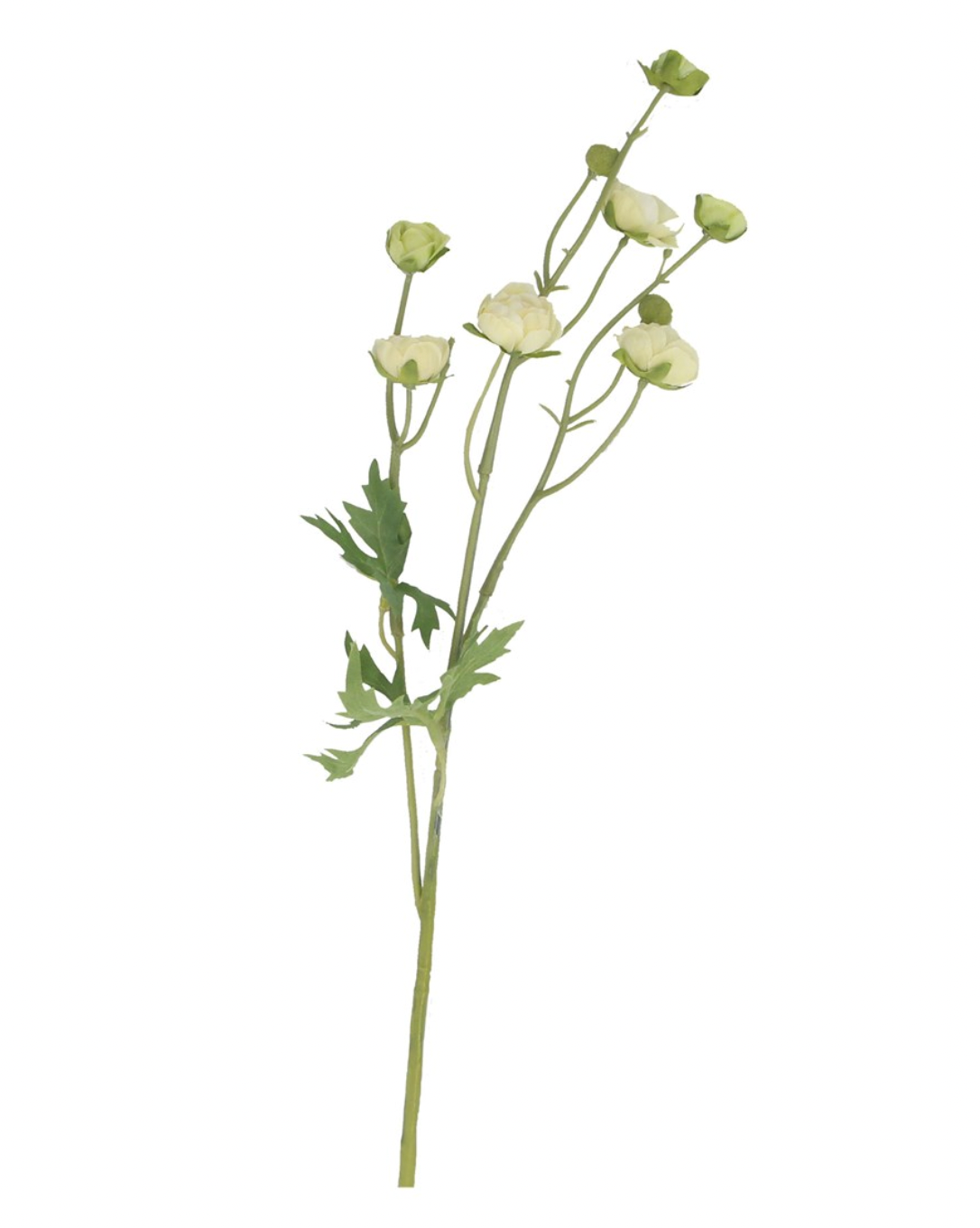 White Ranunculus Mini Spray