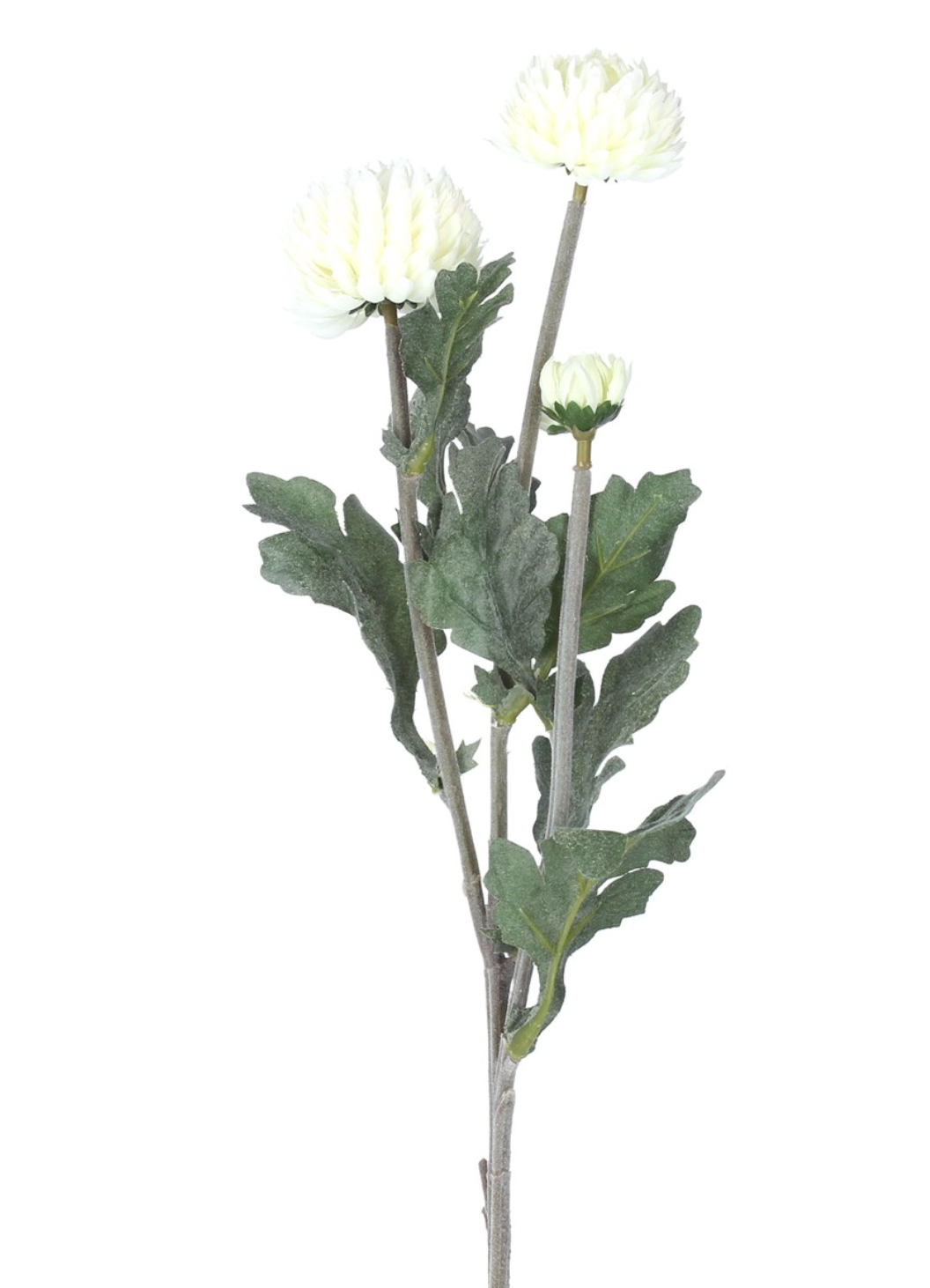 White Pom Pom Stem