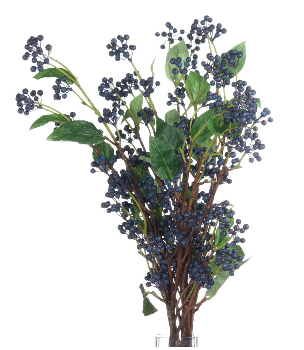 Viburnum Berry Stem