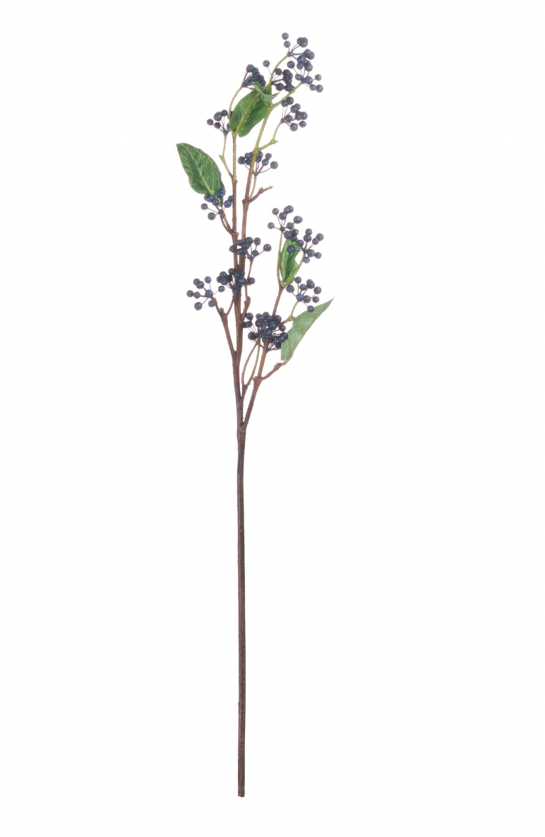 Viburnum Berry Stem