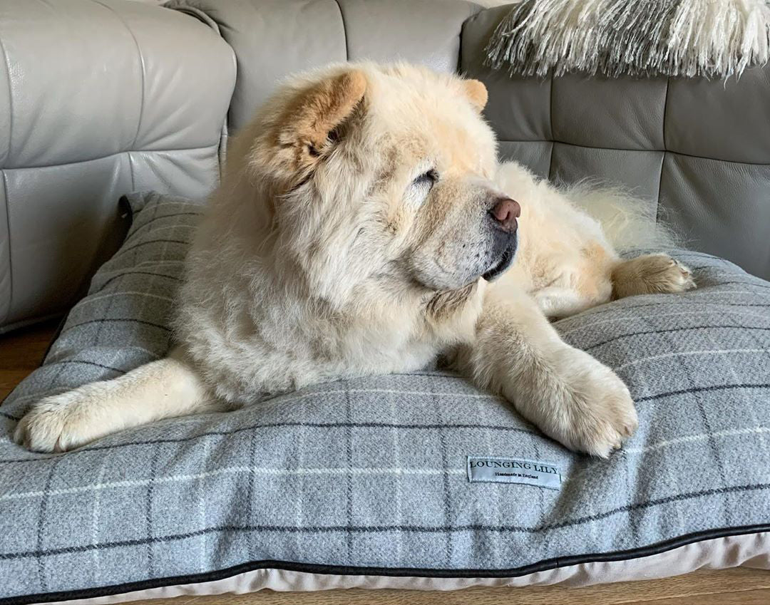 Grey Checked Pillow Dog Bed