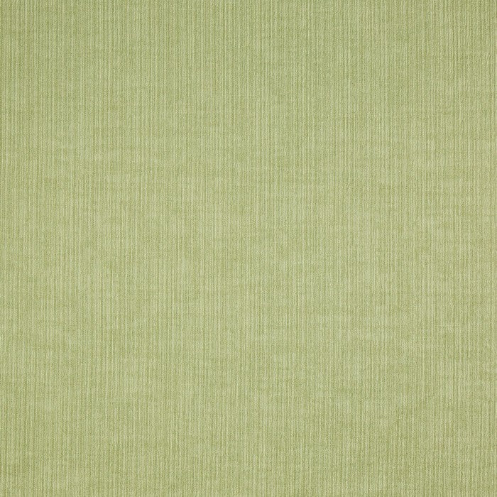 Spencer Willow Curtains
