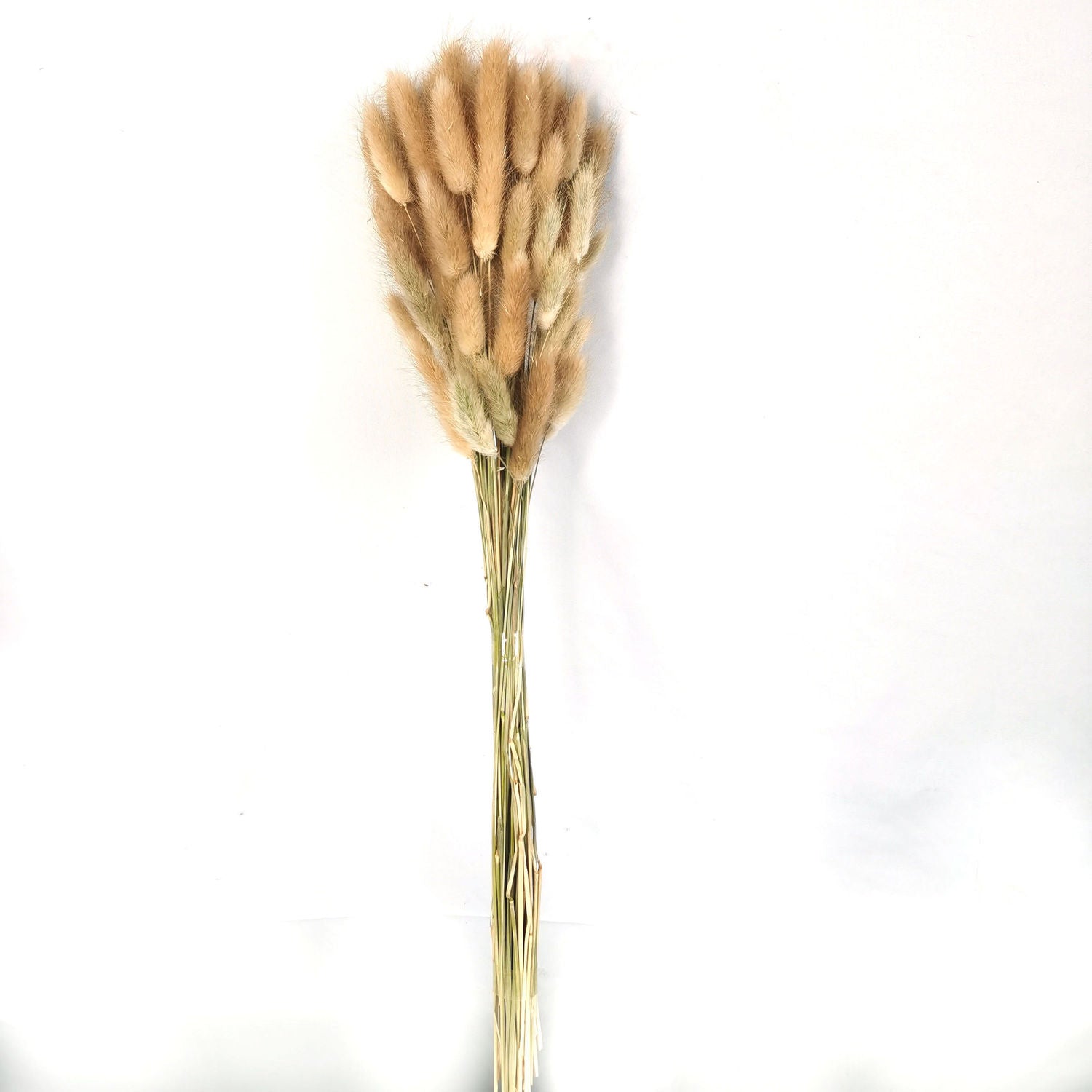 Dried Grey Bunny Tail Bunch