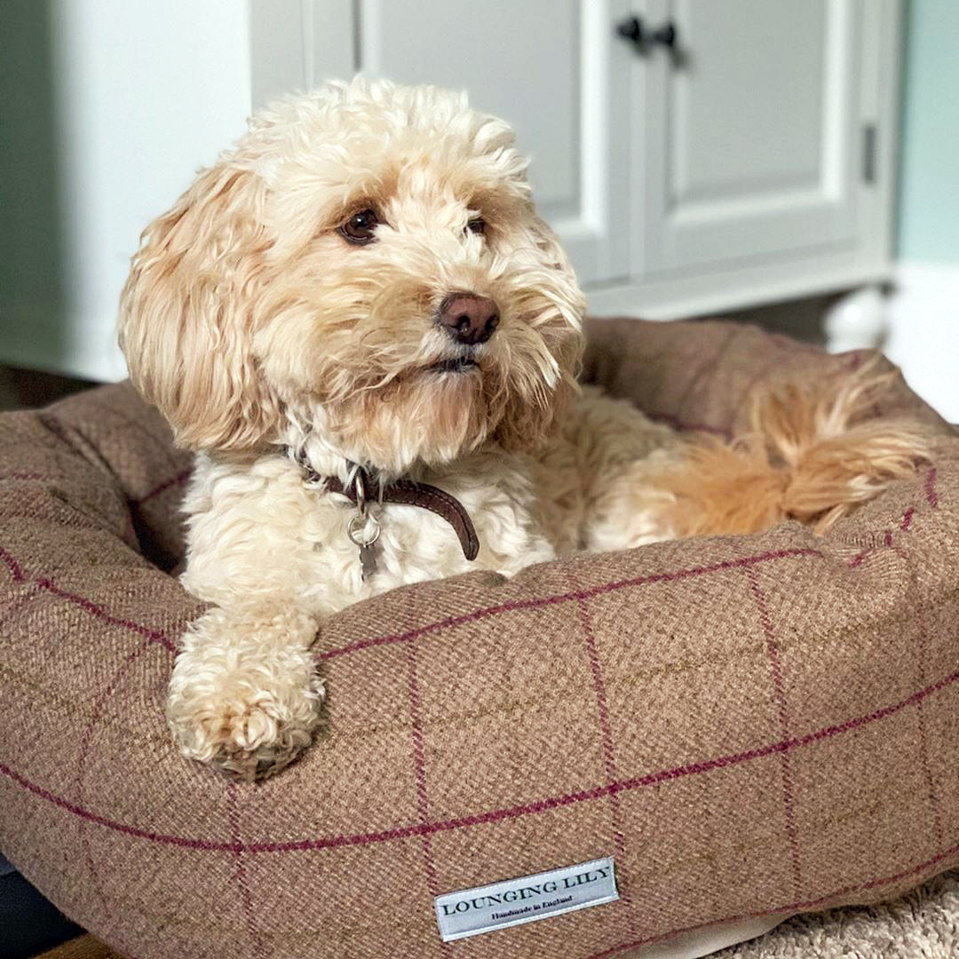 Heather Checked Donut Dog Bed