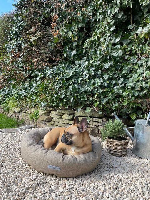 Stone Herringbone Donut Dog Bed