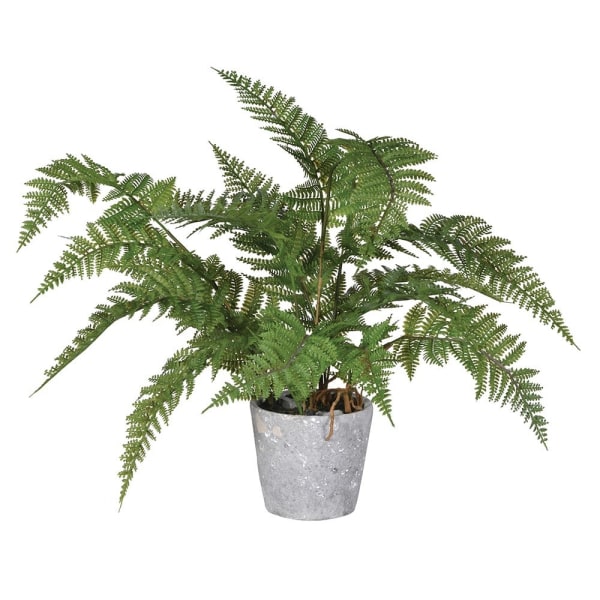 Faux Fern in Pot
