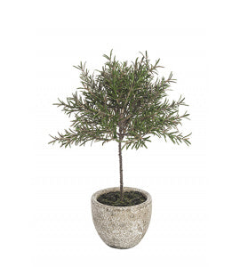 Faux Rosemary Topiary Potted