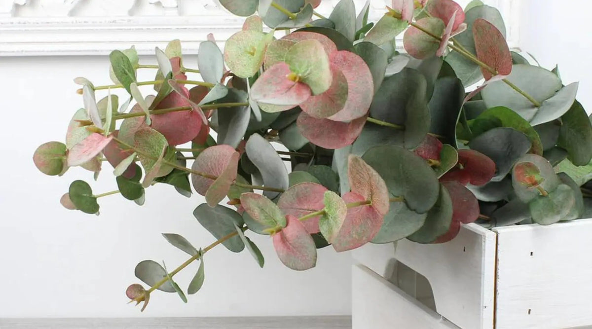 Foliage | Greenery | Harrison Cropper
