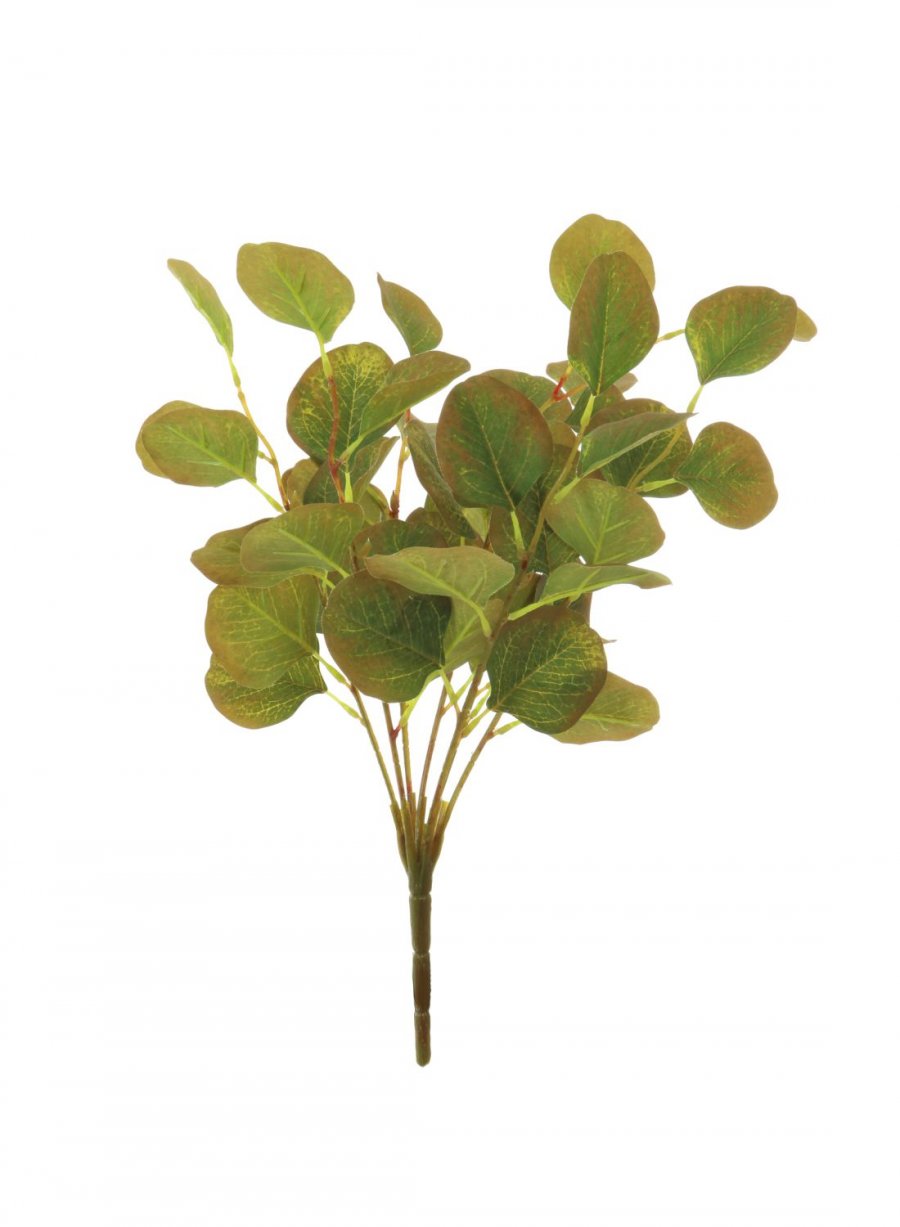 Eucalyptus Spray - Green/Brown