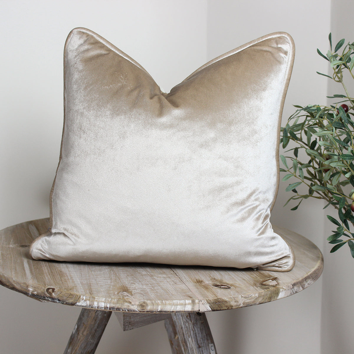 Glamour Oatmeal Velvet Piped Cushion
