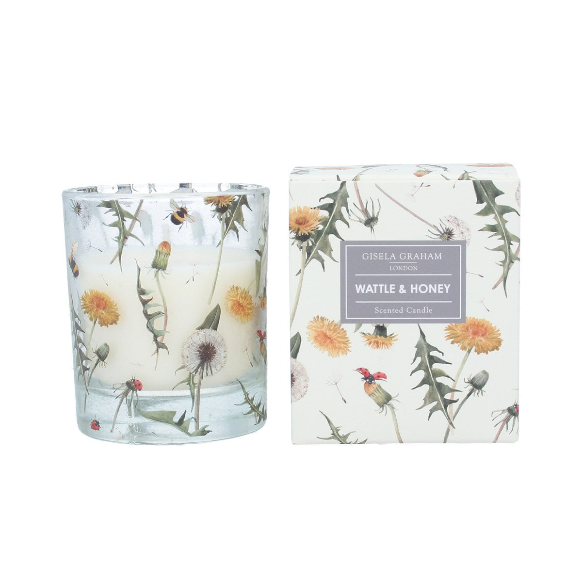 Dandelion & Insects Scented Boxed Candle Pot - Wattle & Honey