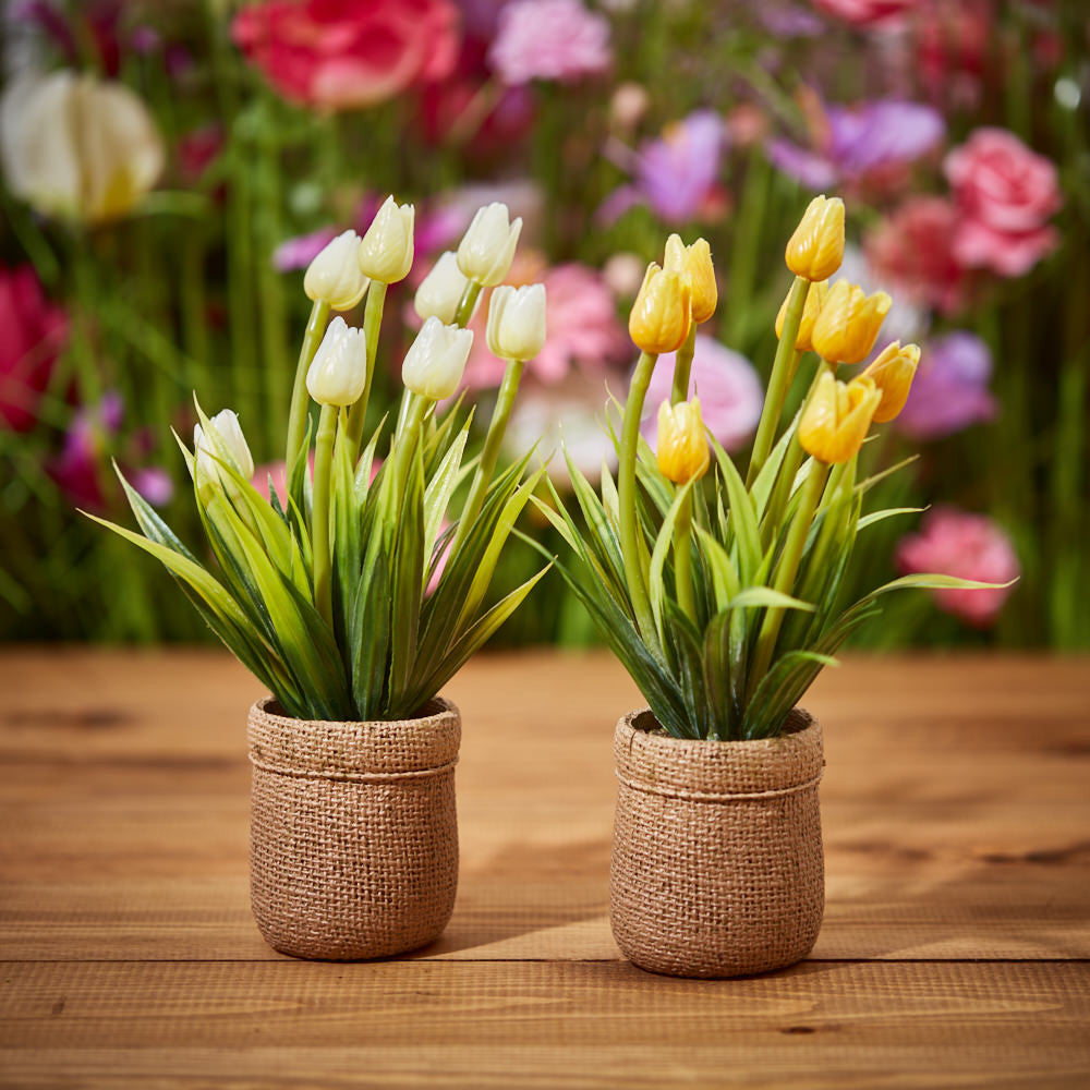 Tulip Flowers with Hessian Pot