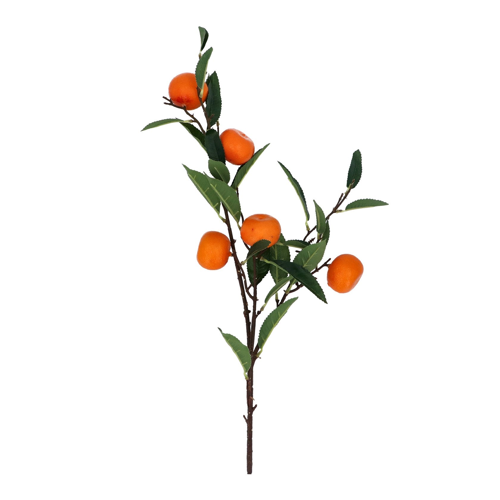 Clementine Branch Stem