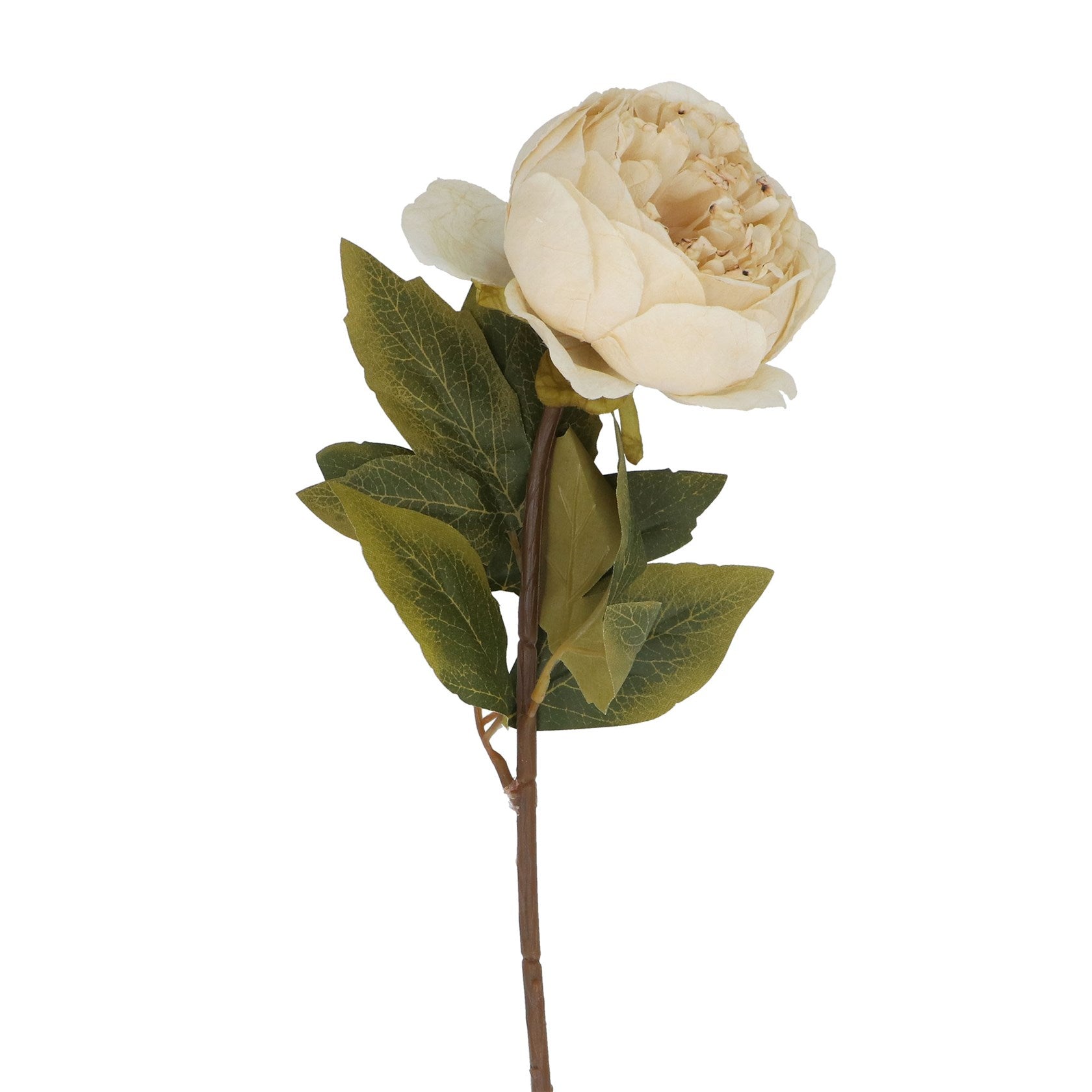 Faux Antique Cream Peony Stem