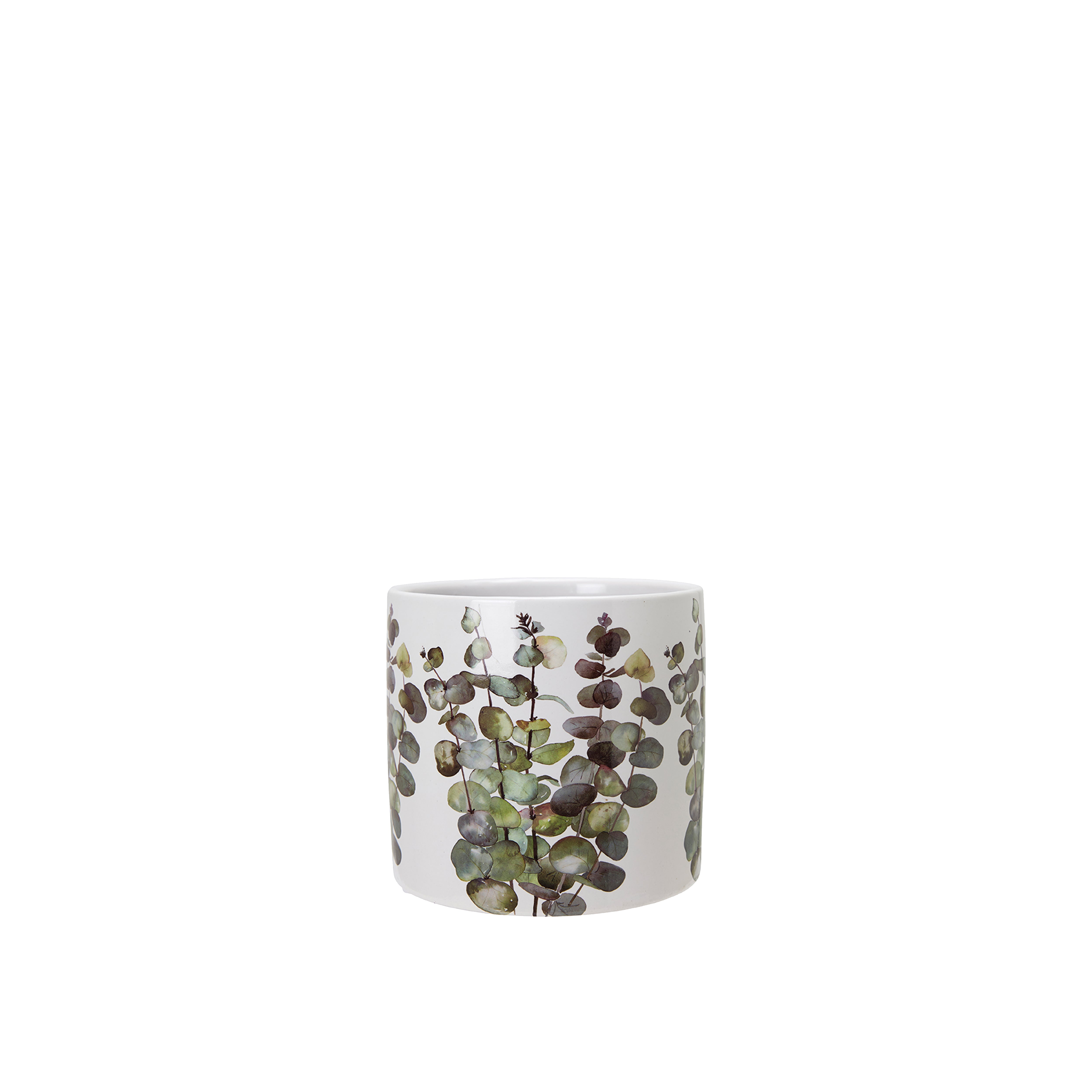 Ophelia White Eucalyptus Pots