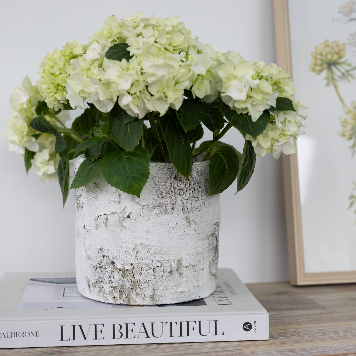 Silver Birch Look Planter