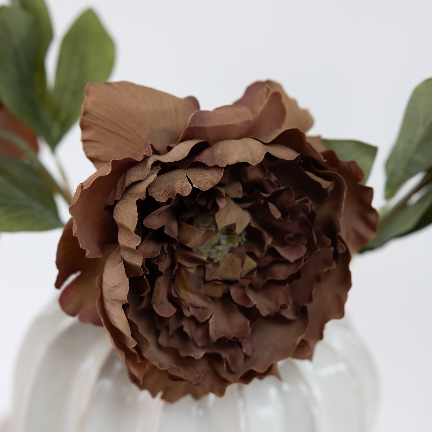 Brown Peony Stem