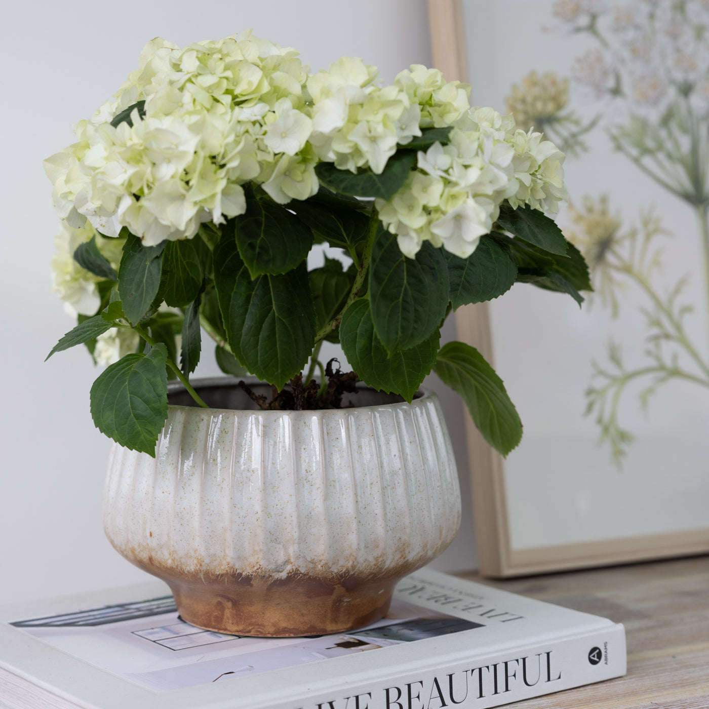 Cecilia Ivory & Brown Planter