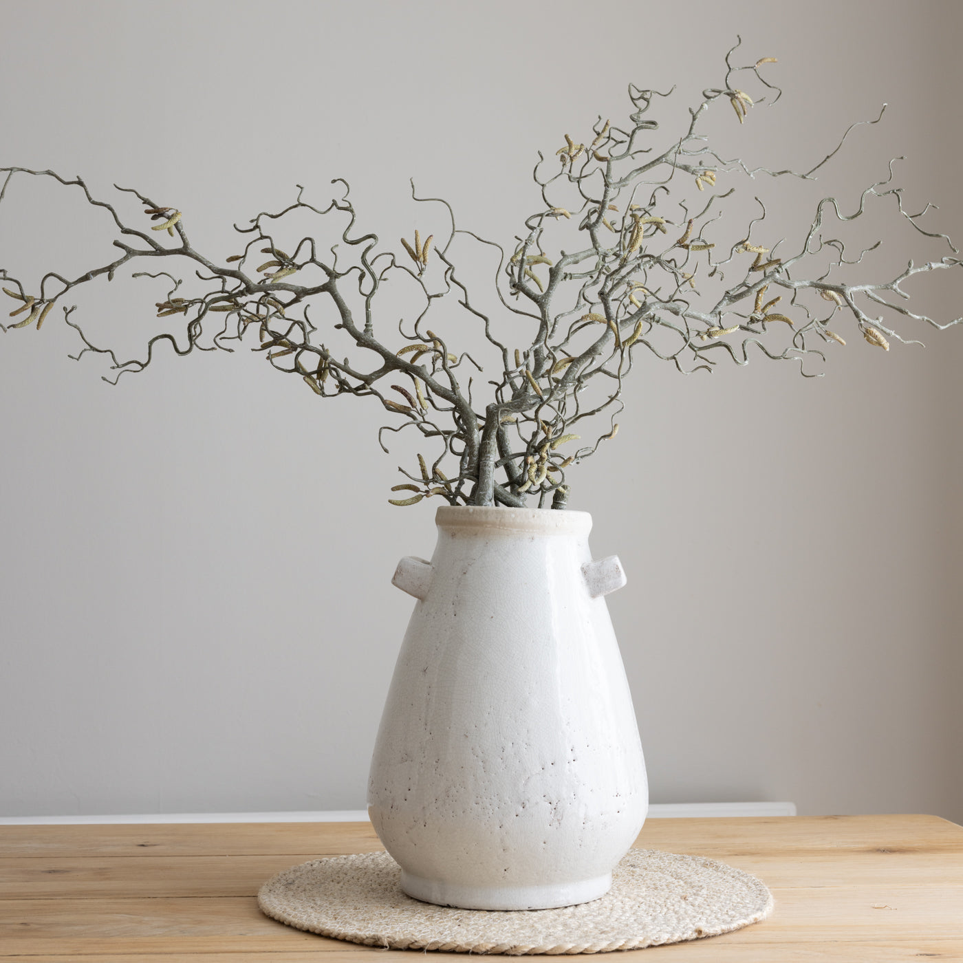 Contorted Willow Branch With Catkins.