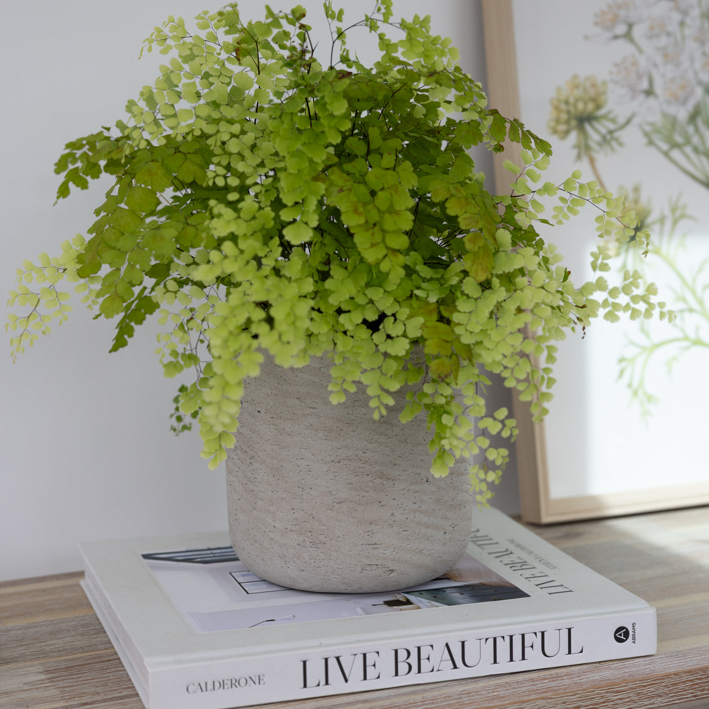 Large Concrete Plant Pot