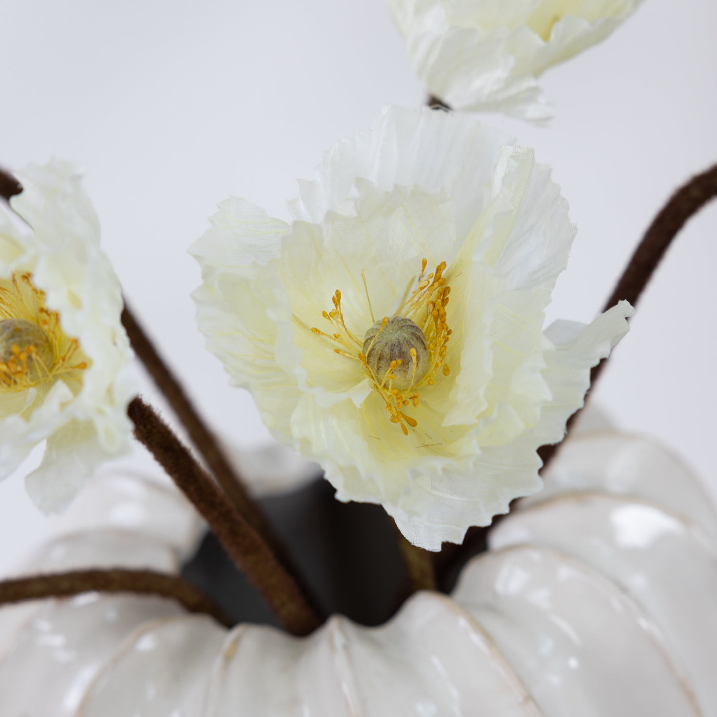 Cream Poppy Stem