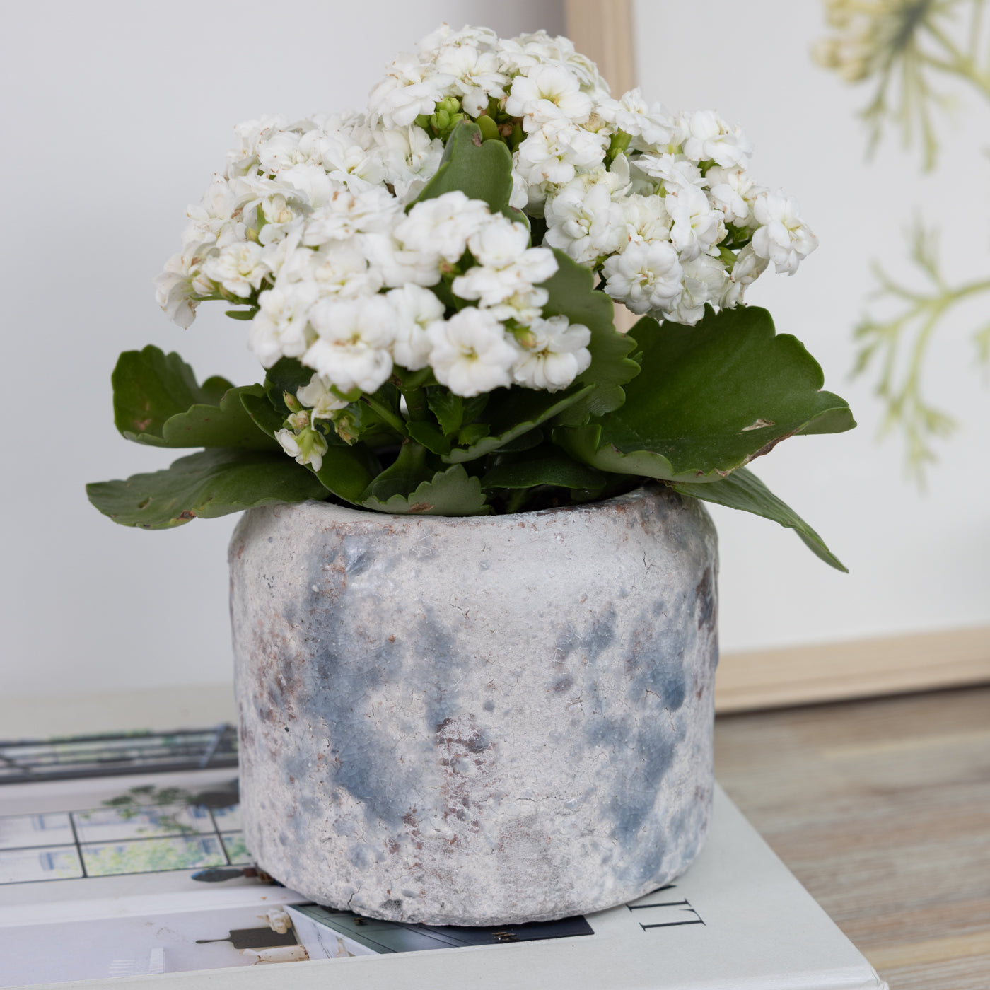 Downham Extra Small Ceramic Pot
