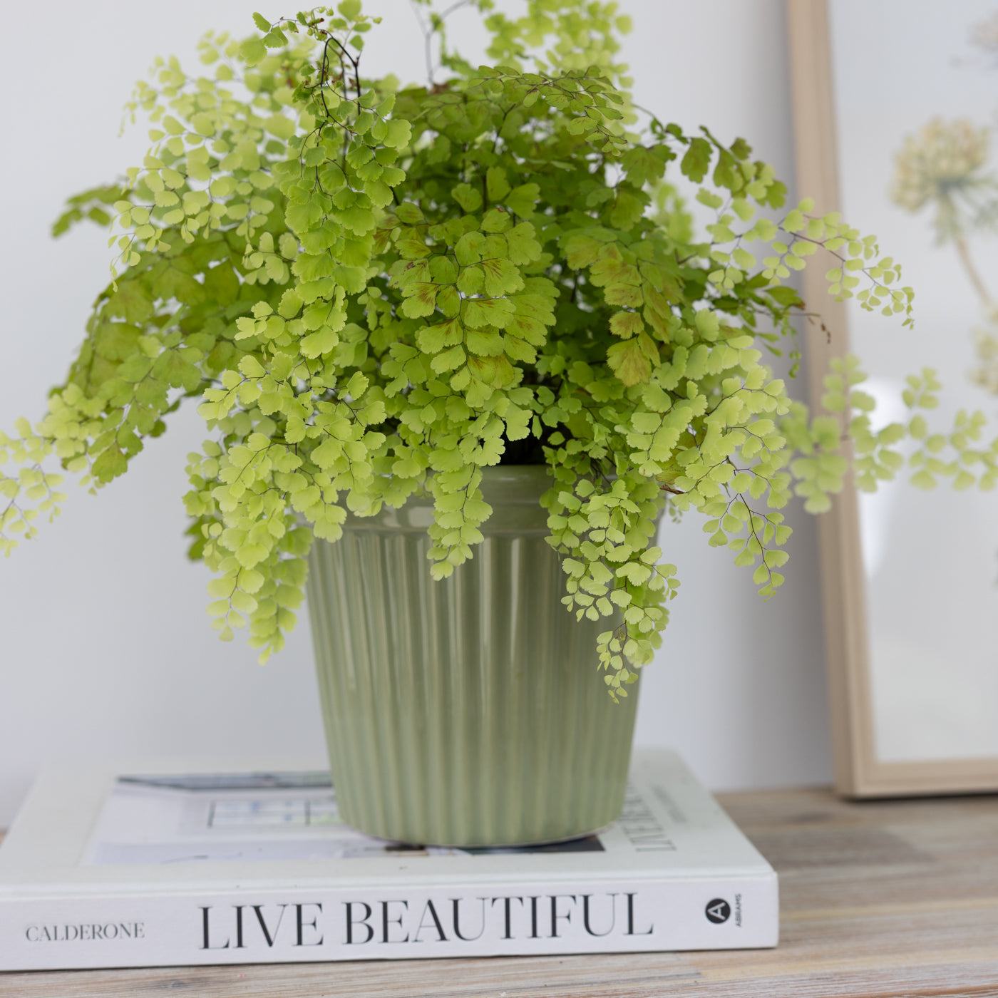Estrid Olive Green Ceramic Pots