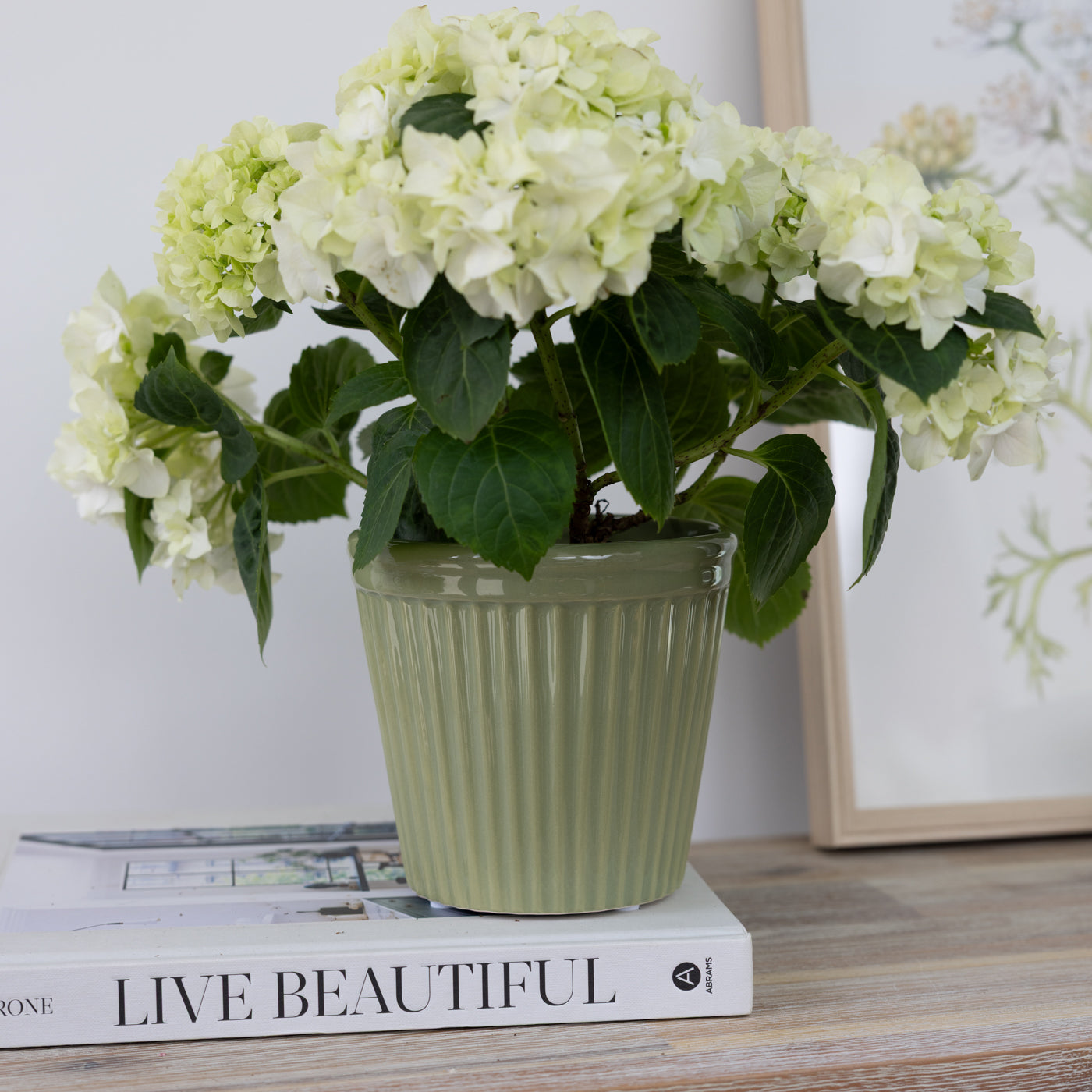 Estrid Olive Green Ceramic Pots