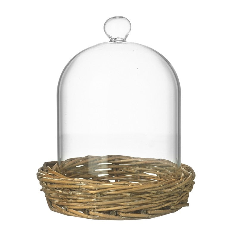 Small Decorative Cloche On Wicker Base