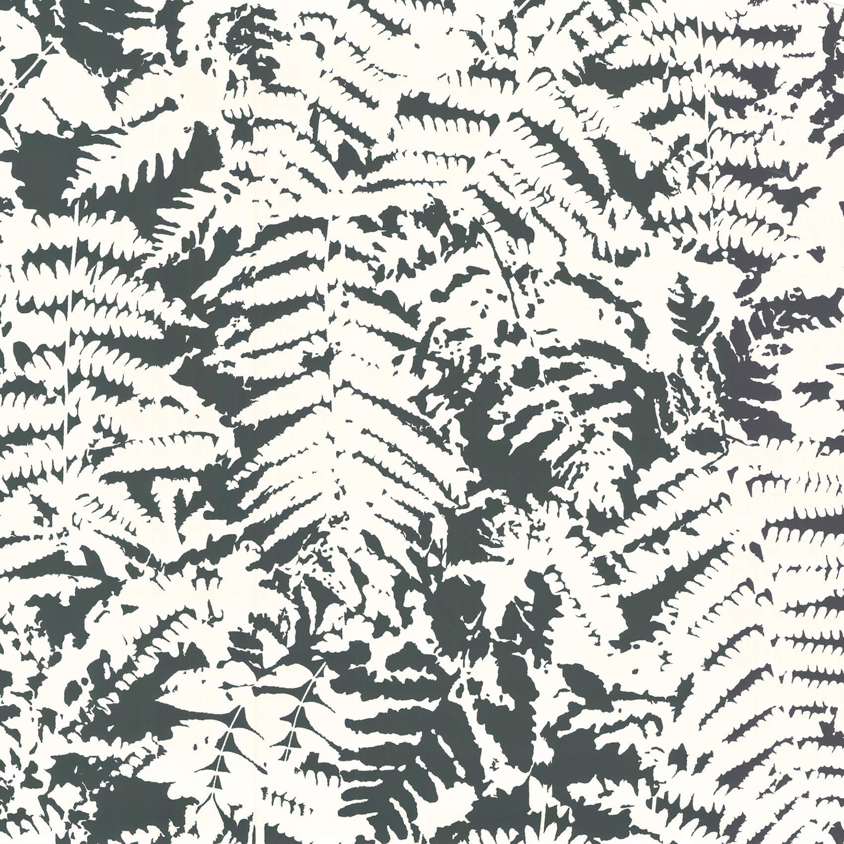 Little Greene Fern Wallpaper - OffBlack