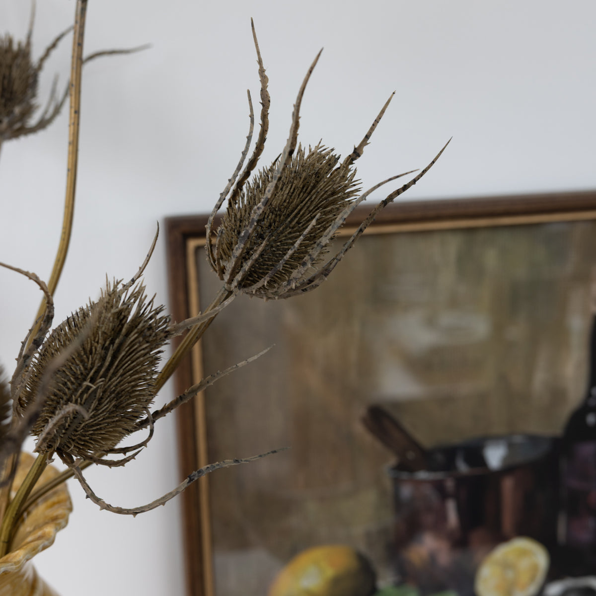 Faux Dried Teasel Stem