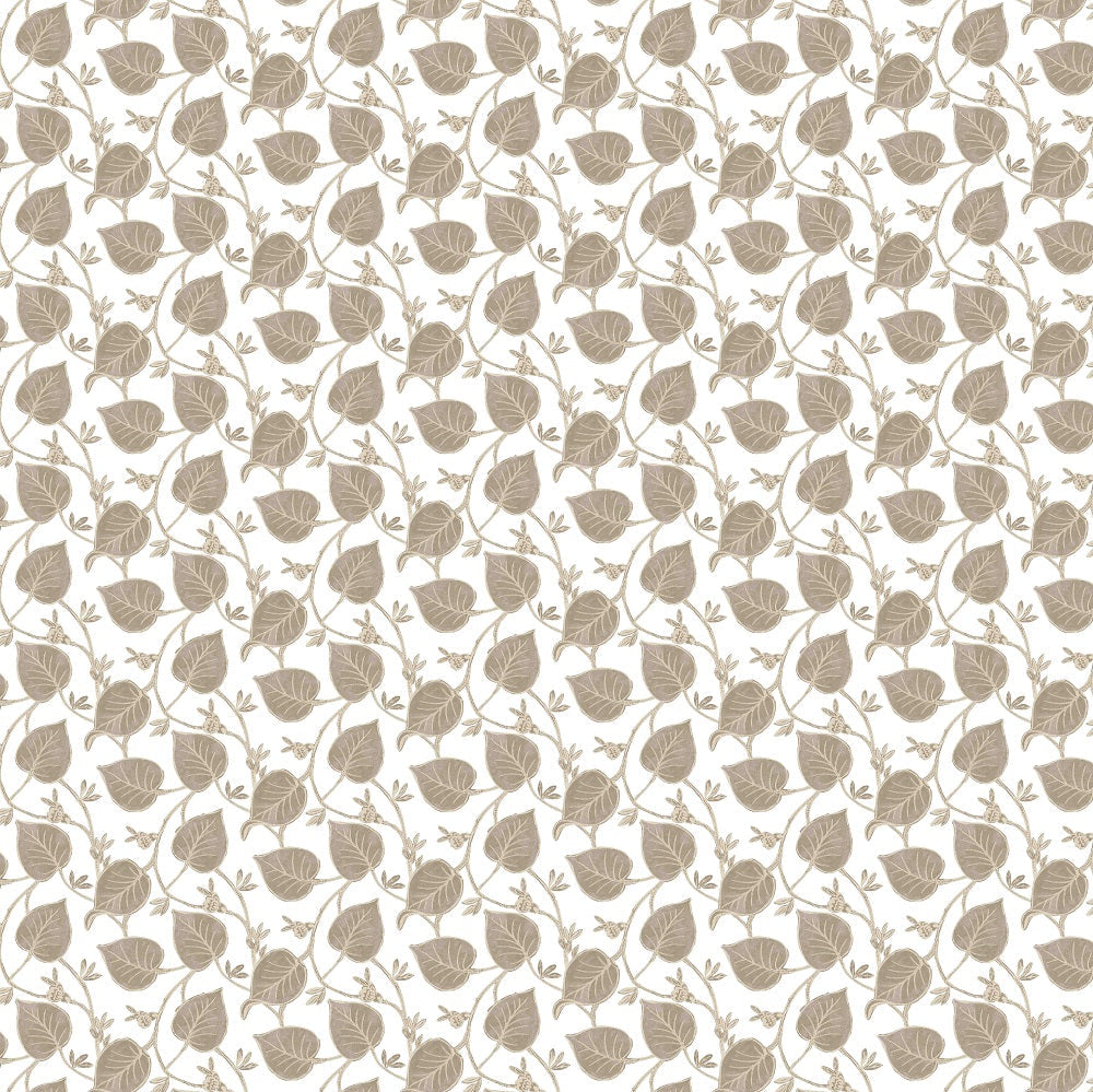 Foret Naturelle Roman Blind
