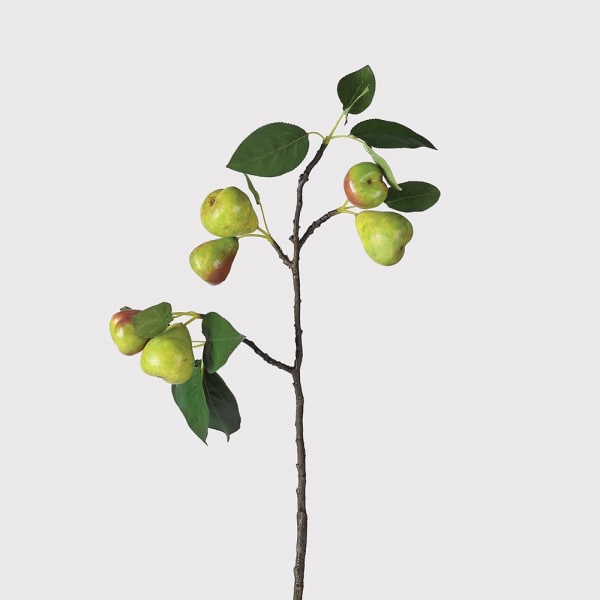 Green Pear Branch