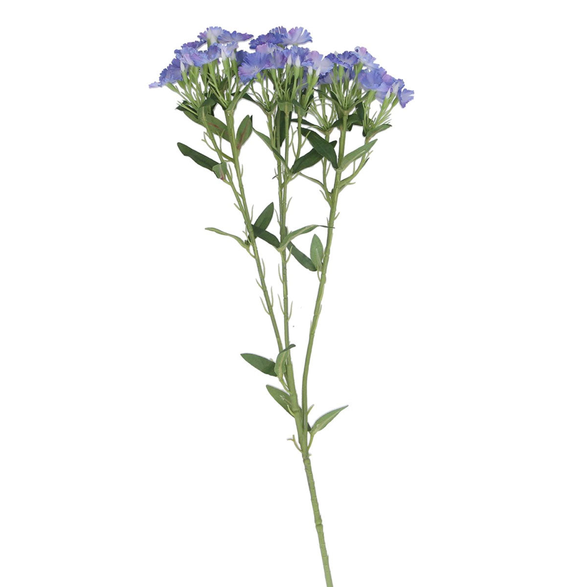 Blue Coronation Spray