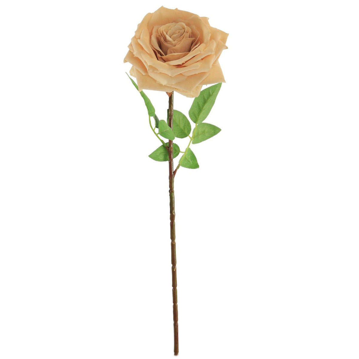 Faux Champagne Marie Rose Stem