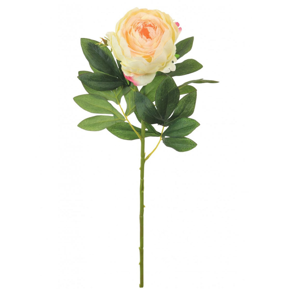 Faux Pink/Cream Millicent Peony Stem