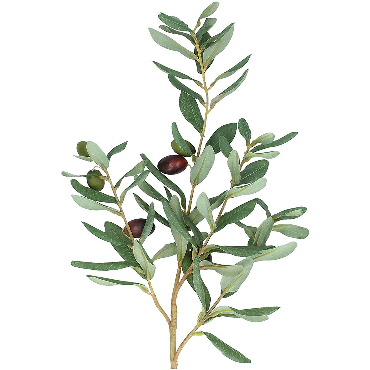 Olive Branch Spray