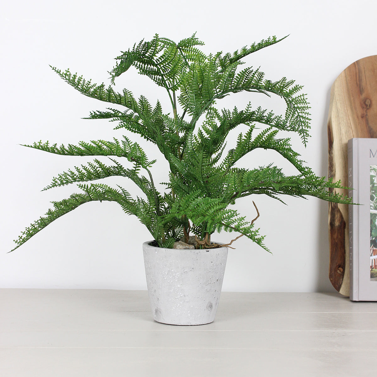 Faux Fern in Pot