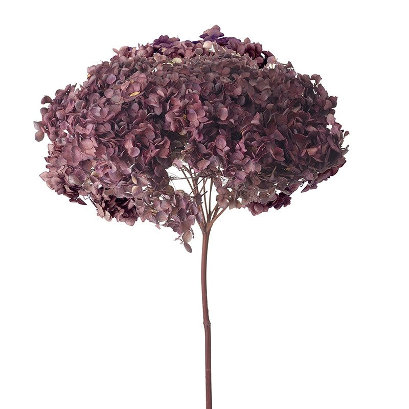 Purple Faux Preserved Hydrangea Stem